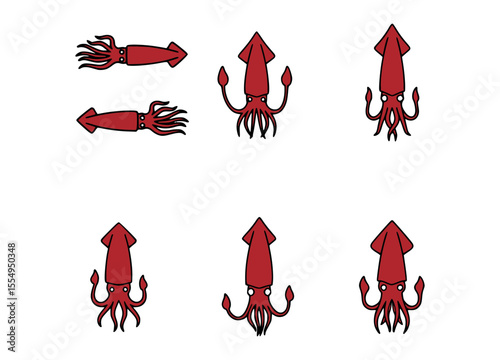 Squid illustration in different poses and perspectives