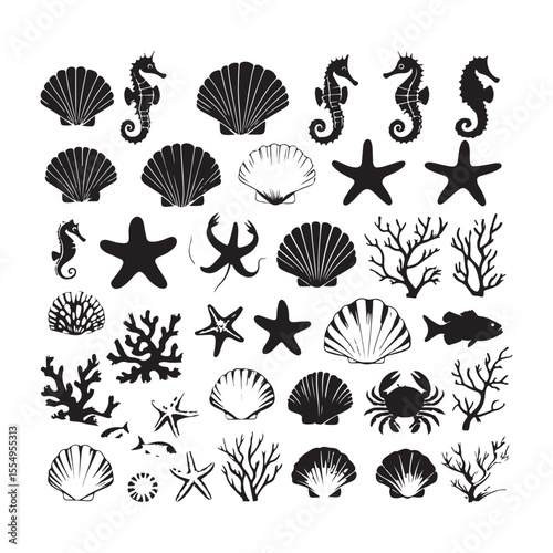 Collection of diverse seashell outlines isolated on transparent background isolated on white background