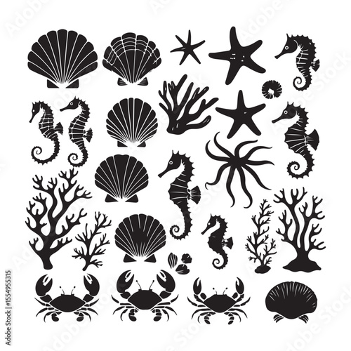 Collection of diverse seashell outlines isolated on transparent background isolated on white background