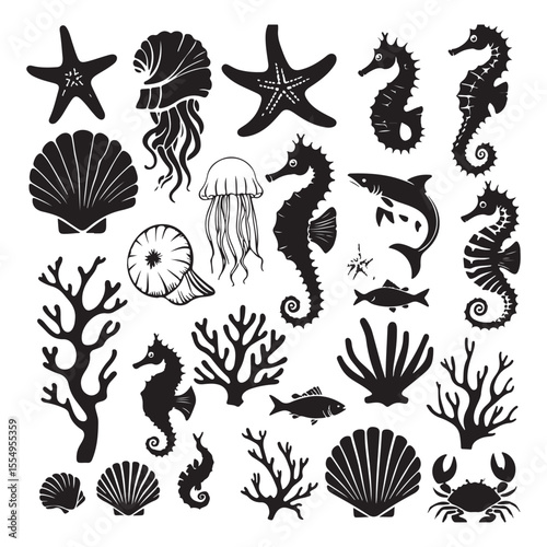 Collection of diverse seashell outlines isolated on transparent background isolated on white background