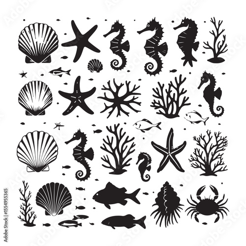 Collection of diverse seashell outlines isolated on transparent background isolated on white background