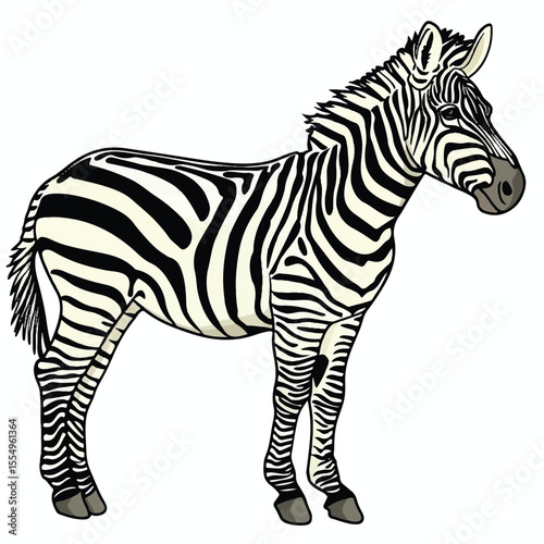 A Detailed Illustration of a Zebra in Profile View
