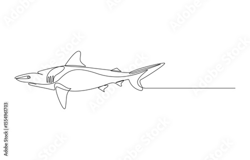 shark continuous line art drawing