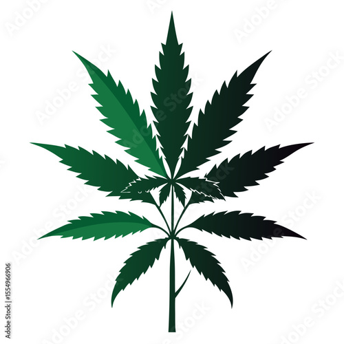 cannabis leaf isolated on white