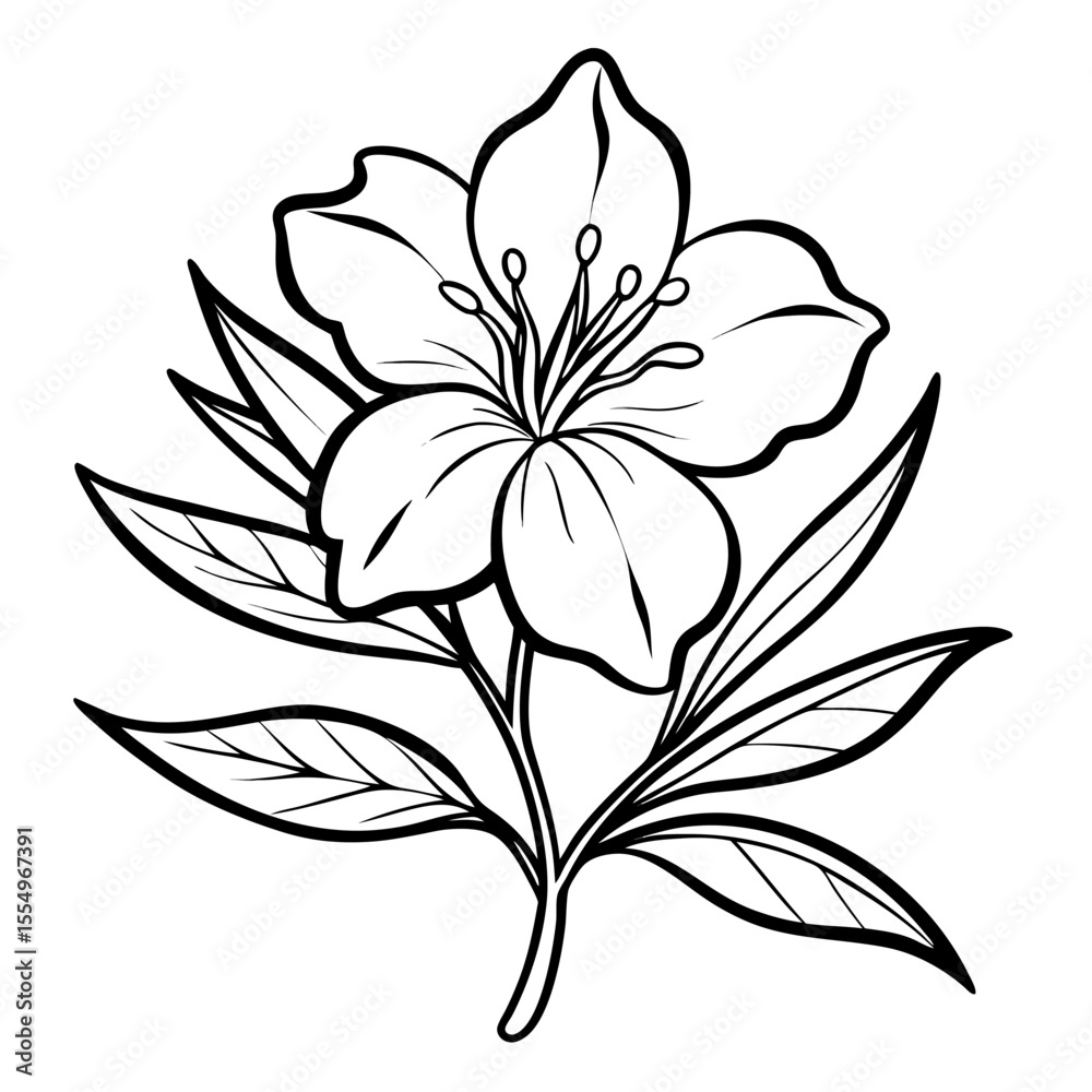 Obraz premium black and white oleander flower