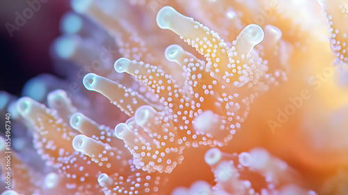 Macro photography of sea anemone tentacles underwater marine life close up coral reef ocean invertebrate animal