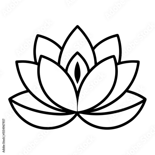 black and white water lily