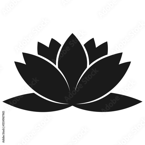 black and white waterlily