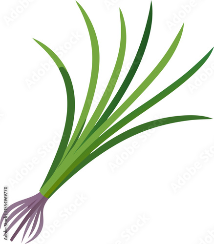 Chives  isolated on white
