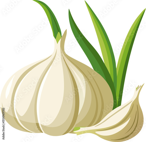garlic isolated on white Garlic scapes