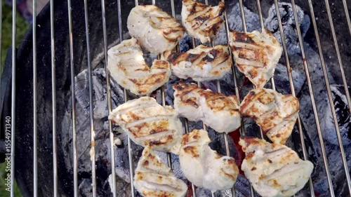 Close-up of golden brown pieces of chicken fillet being cooked on the grill coals. Food preparation. Slow motion footage 100fps.