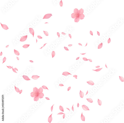 Sakura petal spring blossom on white banner Sakura wallpaper or web banner design template. Vector illustration of realistic  for Valentine's Day, Mother's Day, March 8. Love.