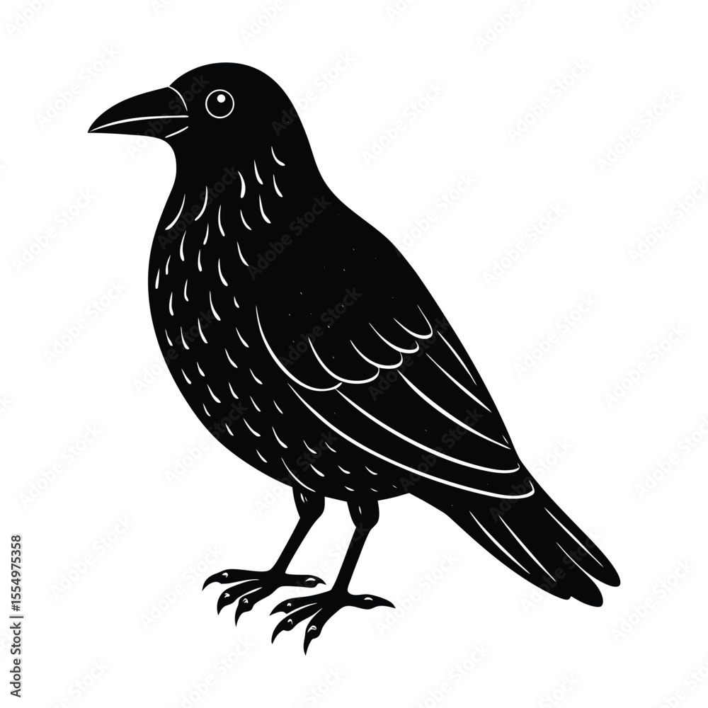 Fototapeta premium vector illustration of a bird