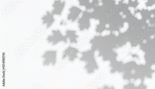  tree shadow  on the white wall 