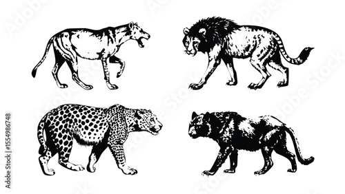 Carnivorous Mammals Lion Wolf Leopard Tiger Hyena Icon Pack in Stipple Ink Style. Black and White Vector Collection of Predators. Vintage Scientific Zoology Engraving Set photo