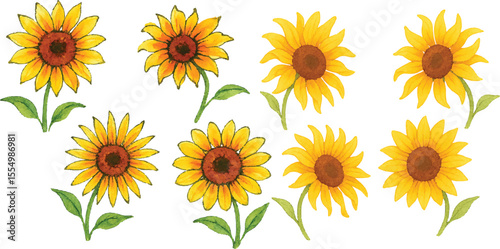 Hand-Drawn Watercolor Sunflower Illustration Set Colorful Single Bloom Floral Elements with Petals and Leaves, Isolated Transparent Background for Botanical Art, Packaging, and Decor | Generative AI