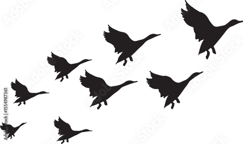 sets of vector silhouettes of birds.