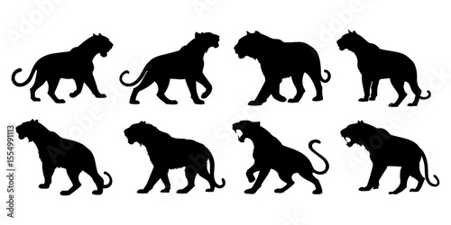 Silhouettes of big cats in various poses