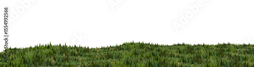 green grass background/A forest full of pine trees, surrounded by pure nature.