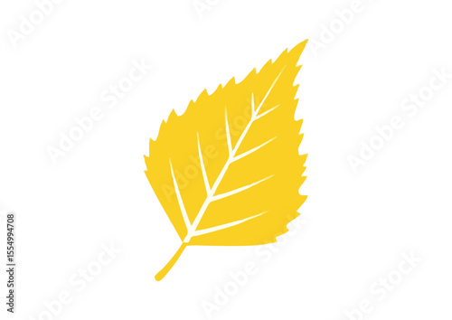 Glossy yellow birch leaf with smooth texture for autumn decor and natural beauty
