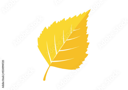 Bright yellow birch leaf with detailed veins for autumn decor and natural themes