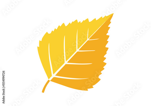 Vibrant yellow birch leaf with smooth texture for autumn decoration and natural beauty
