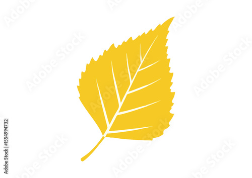 Bright yellow birch leaf with detailed veins for autumn decor and natural themes