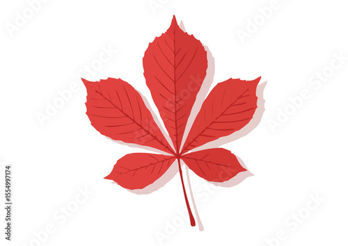 Stylish red leaf with soft shadows for autumn decor and seasonal themes
