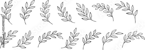 Set of hand-drawn botanical branches with leaves in curved, elegant shapes. Minimalist black outline perfect for floral design, wedding decor, and nature-inspired graphics