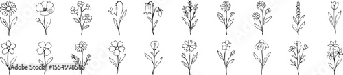 Set of hand-drawn wildflowers and botanical stems in minimalist black outline style. Perfect for wedding decor, natural designs, eco branding, and floral illustrations