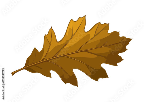 Shiny golden oak leaf with detailed texture for autumn decoration and themes