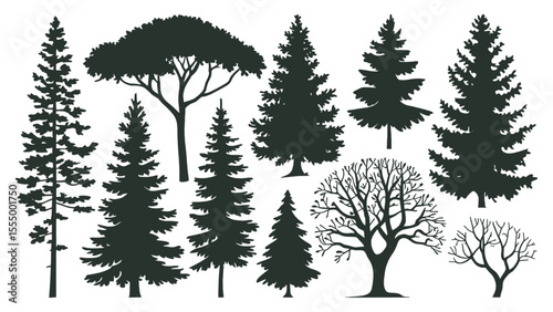 Silhouette collection of coniferous and deciduous trees in black vector style featuring pine, fir, leafless winter trees and umbrella-shaped canopies perfect for forest scenes, eco designs