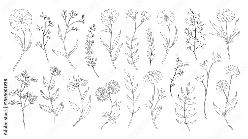 Fototapeta premium Hand drawn botanical flower illustrations in black and white featuring wildflowers leaves and floral elements perfect for tattoo design logo invitations wall art wedding decor and nature-themed