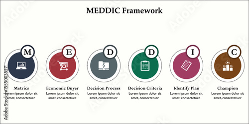 MEDDIC Framework. Infographic template with icons and description placeholder