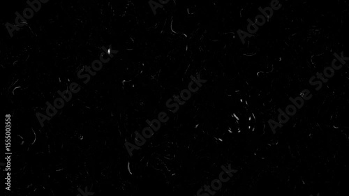 Noise Grain overlay effect V72