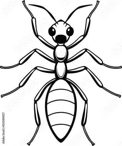 Ant illustration isolated on white background