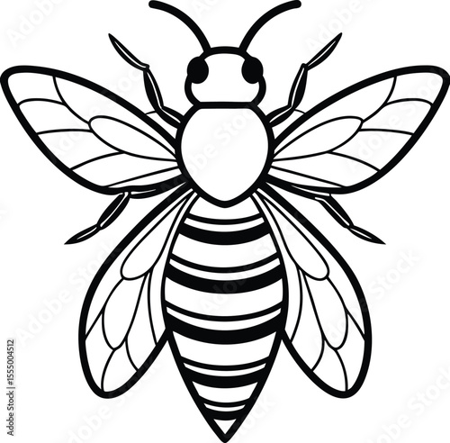 Detailed illustration of a bee in flight isolated on white background