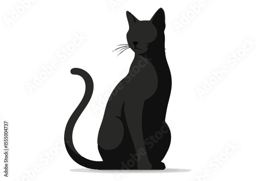 Sleek black cat silhouette for Halloween themes and cozy home companionship