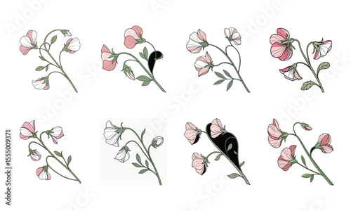 Vector illustration of a bundle of 8 flowers in a delicate pastel pink color palette