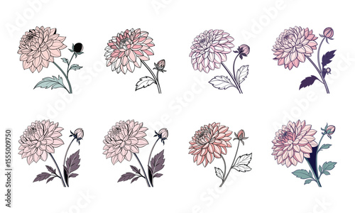 Elegant digital illustration of a floral bundle featuring eight delicate dahlia flowers