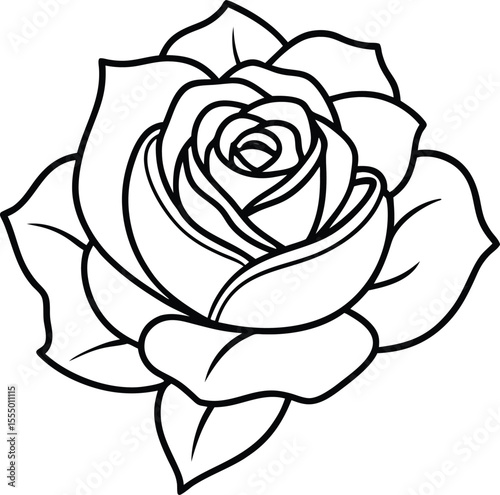 Elegant rose illustration isolated on white background
