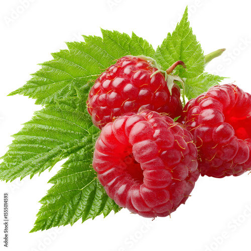 Raspberry fruit with lea 