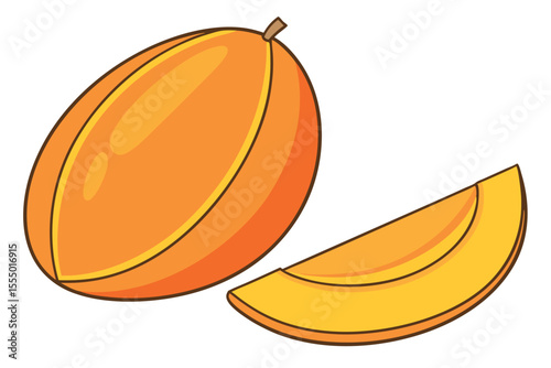 Cantaloupe melon fruit whole and slice vector illustration on white background