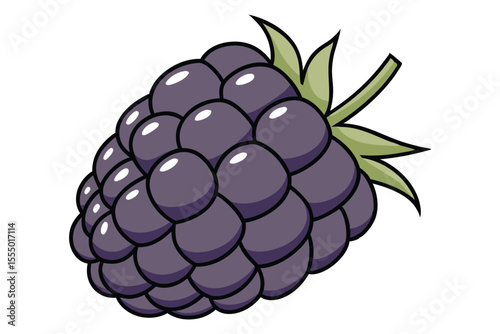 Cartoon blackberry illustration fresh sweet summer fruit isolated on white