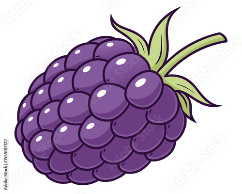 Cartoon blackberry vector illustration fresh fruit isolated design element food clipart