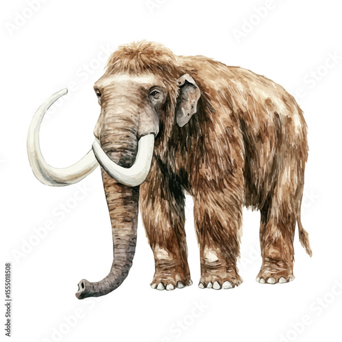 watercolor of Woolly Mammoth, vector, isolated on a white background.