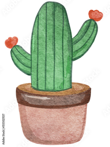 Cactus illustration watercolor