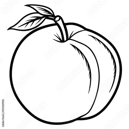Detailed monochrome illustration of a peach with stem and leaves