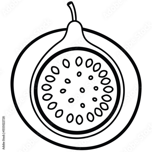 Fig fruit cross section black and white outline style vector illustration