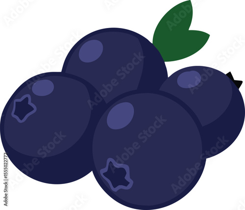 Fresh blueberries with green leaf on black background vector illustration